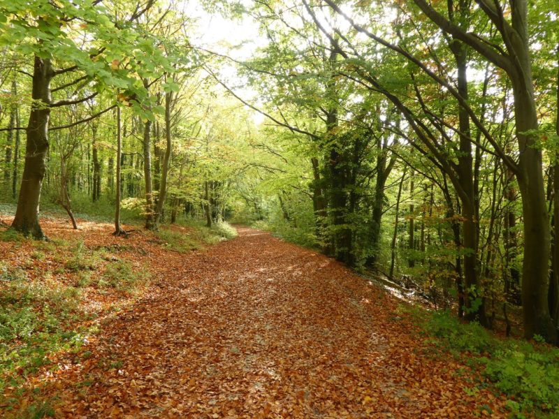 South Downs Way Weekend Walk: Lewes to Eastbourne - A-Z Maps - Blog